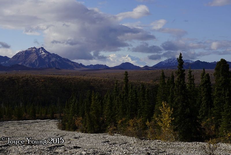 Denali!