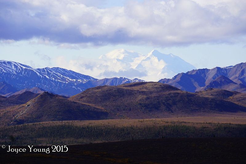 Denali!